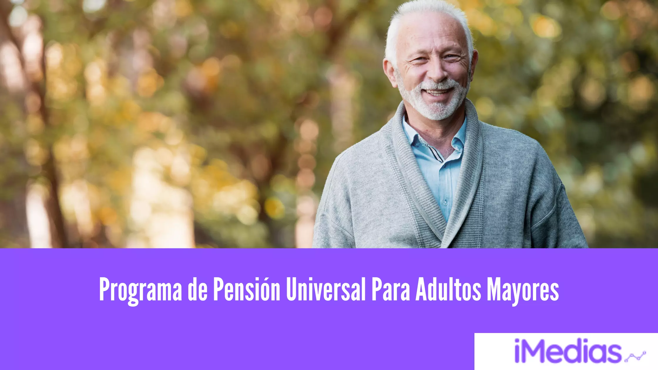 Programa de Pensión Universal Para Adultos Mayores