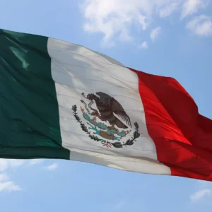 Cómo Solicitar el Certificado de Desempleo en México