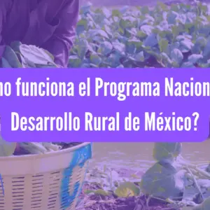 ¿Cómo funciona el Programa Nacional de Desarrollo Rural de México?