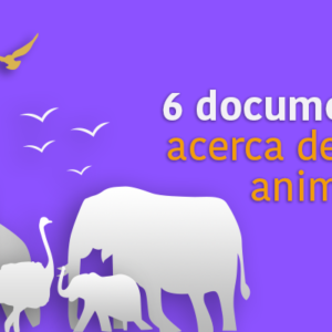 6 documentales acerca del reino animal