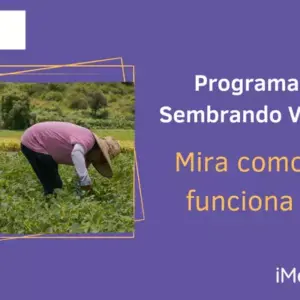 Programa Sembrando Vida: Combatiendo la pobreza y promoviendo la sostenibilidad en México