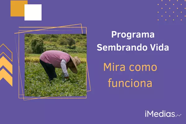 Programa Sembrando Vida: Combatiendo la pobreza y promoviendo la sostenibilidad en México