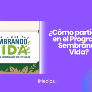 ¿Cómo participar en el Programa Sembrando Vida?