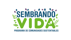 Sembrando Vida 2025